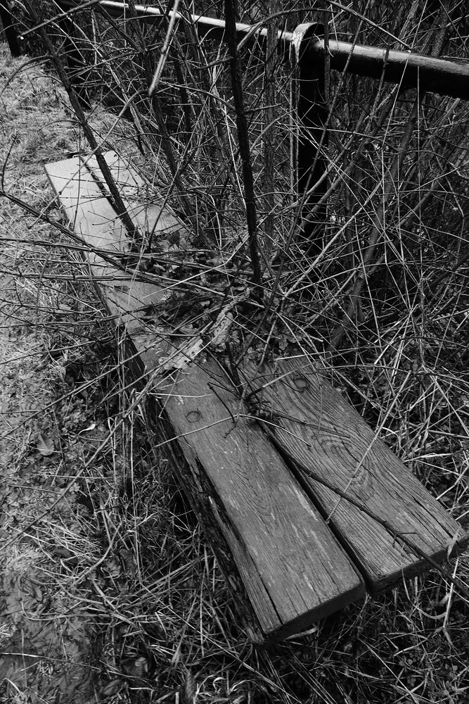 Příroda si bere lavičku