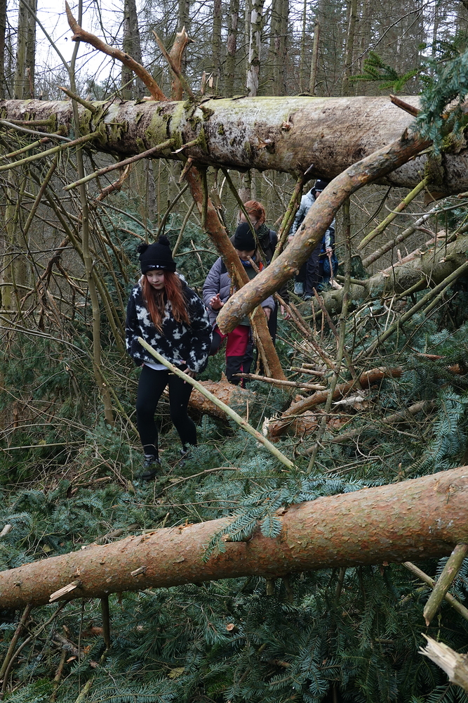 Poradíme si s každou překážkou