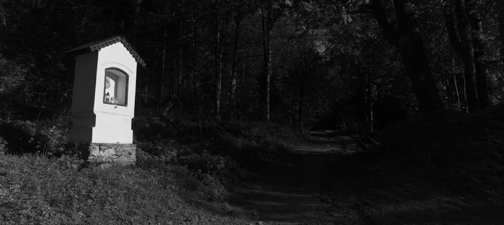 Pod Medvědí roklí