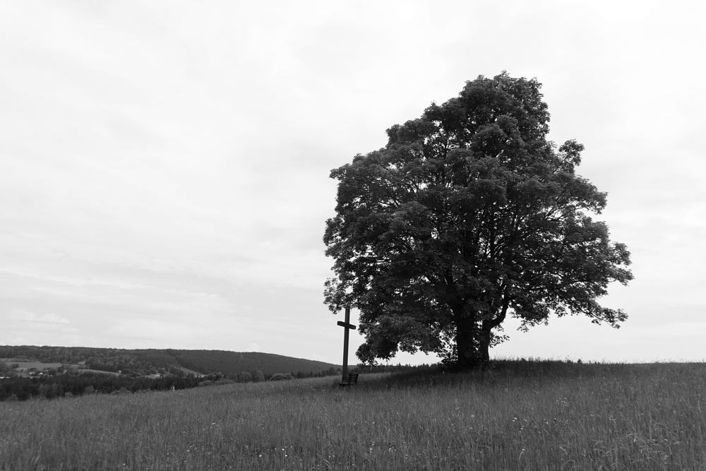 Druhý den ve Svratce