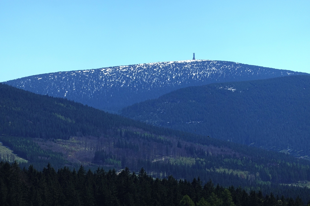 Kralický sněžník z Polské strany