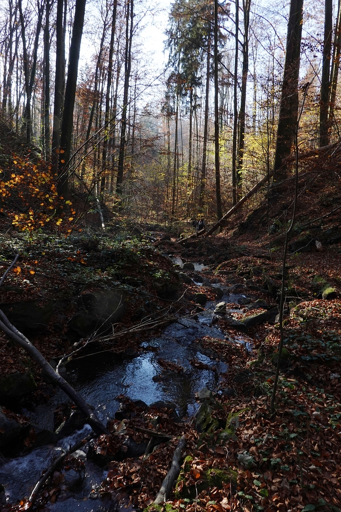 V Lovětínské rokli