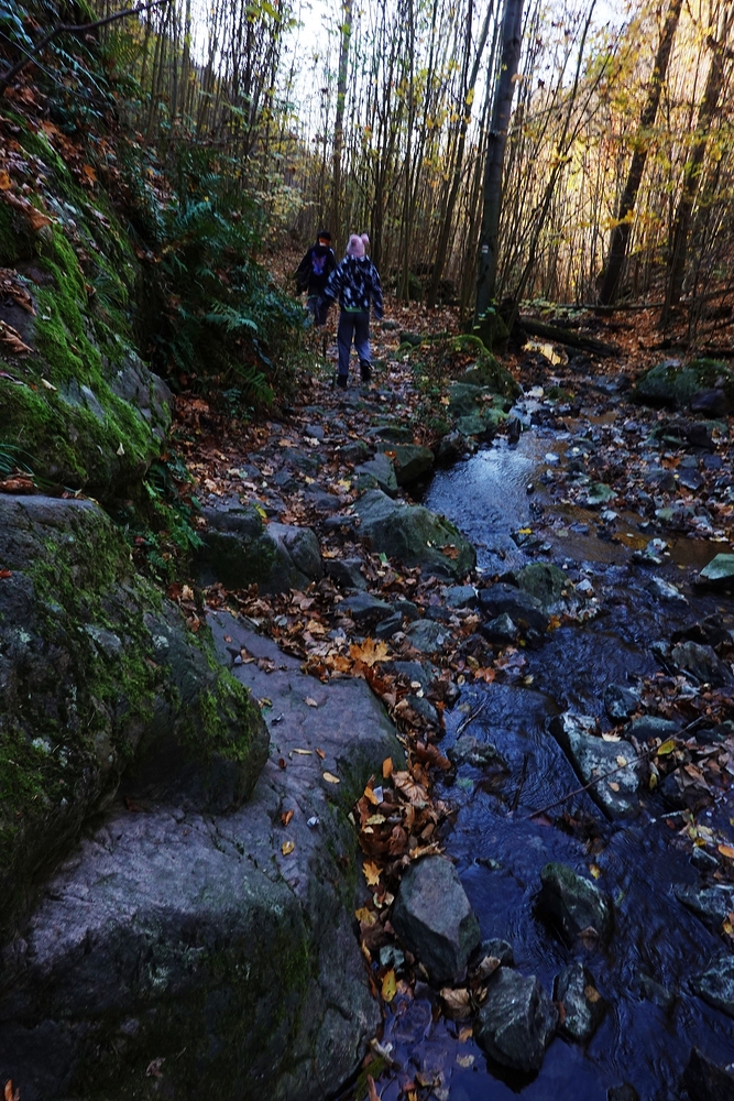 V Lovětínské rokli
