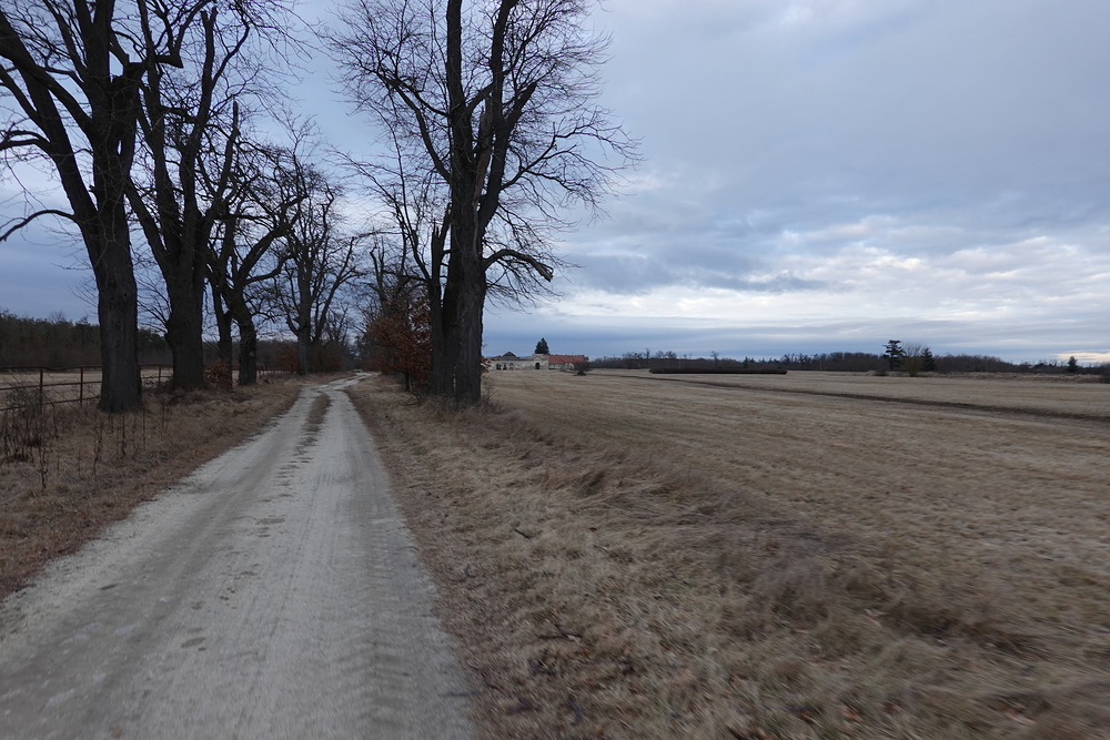 Příjezd na Nový dvůr