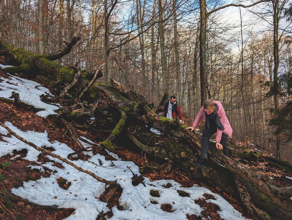 Starý chodník Čerňavinou