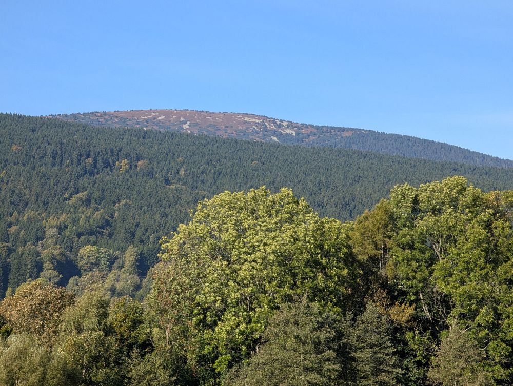 Kralický Sněžník