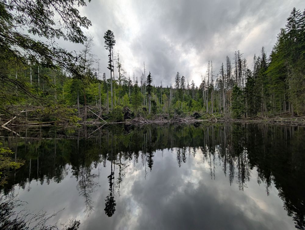 Boubínské jezírko