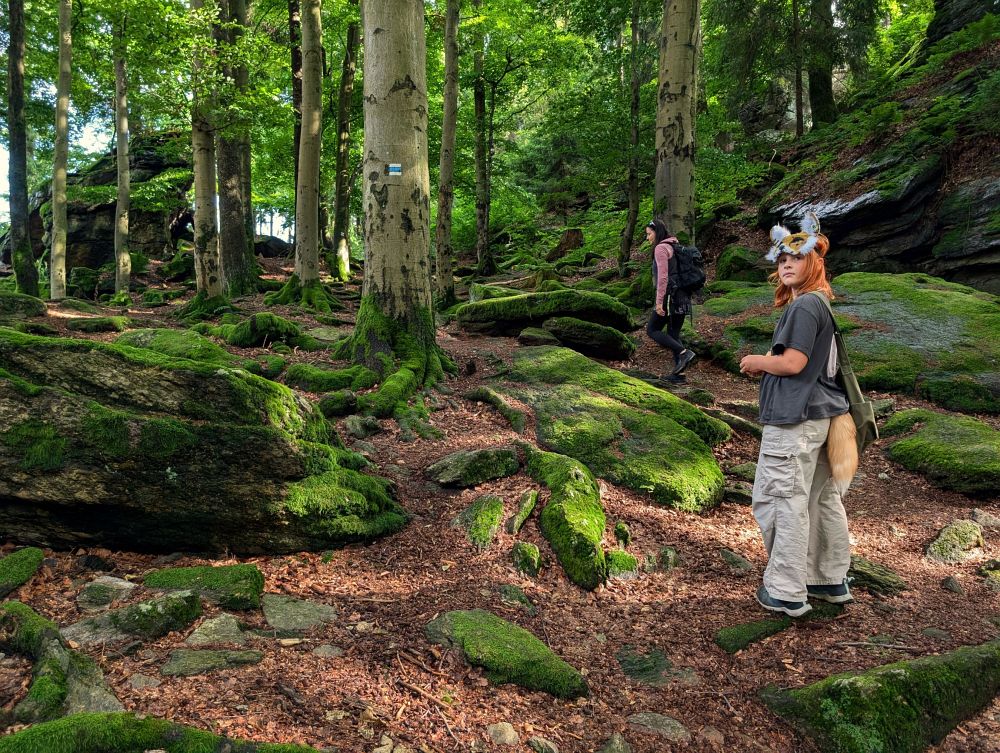 Na Zkamenělý zámek