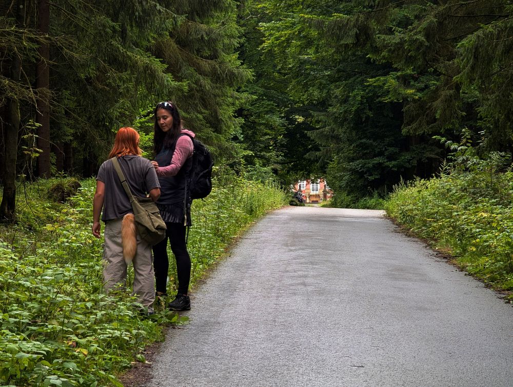 Karlštejn na dohled