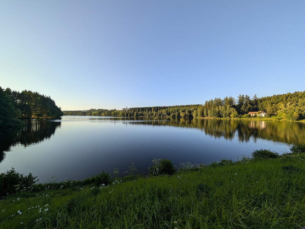 Domanínský rybník