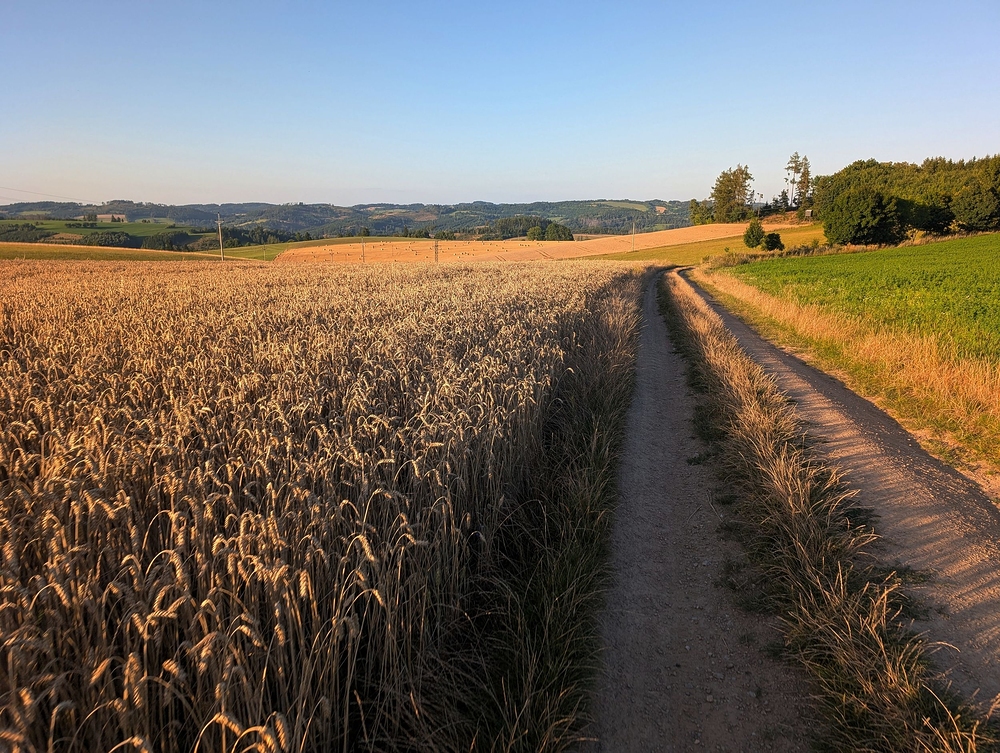Všude řádí kombajny