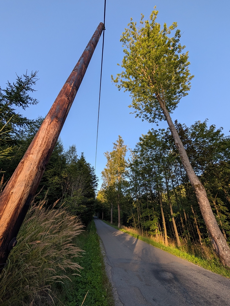 Stará cesta z Dalečína nahoru