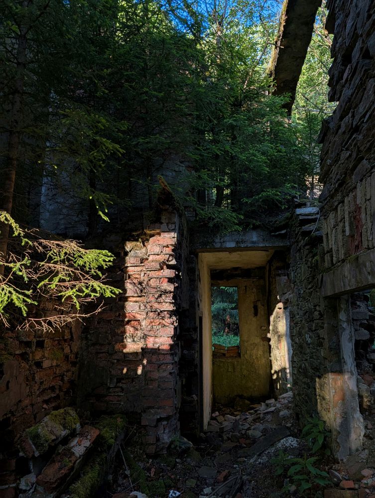 Příroda si bere vše zpět