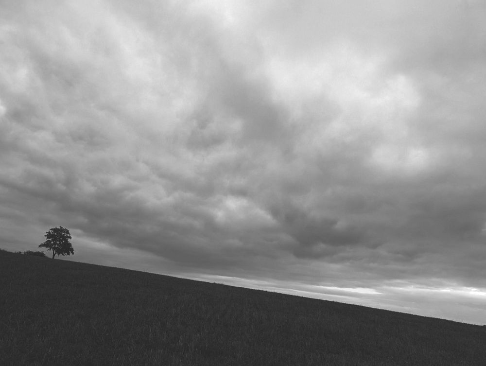 Kráčím si krajinou