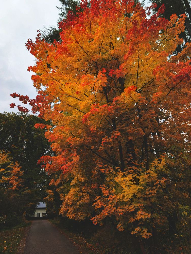 Podzim je konečně tady
