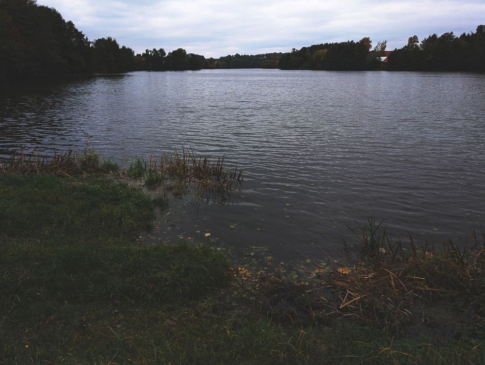 Mezibořský rybník