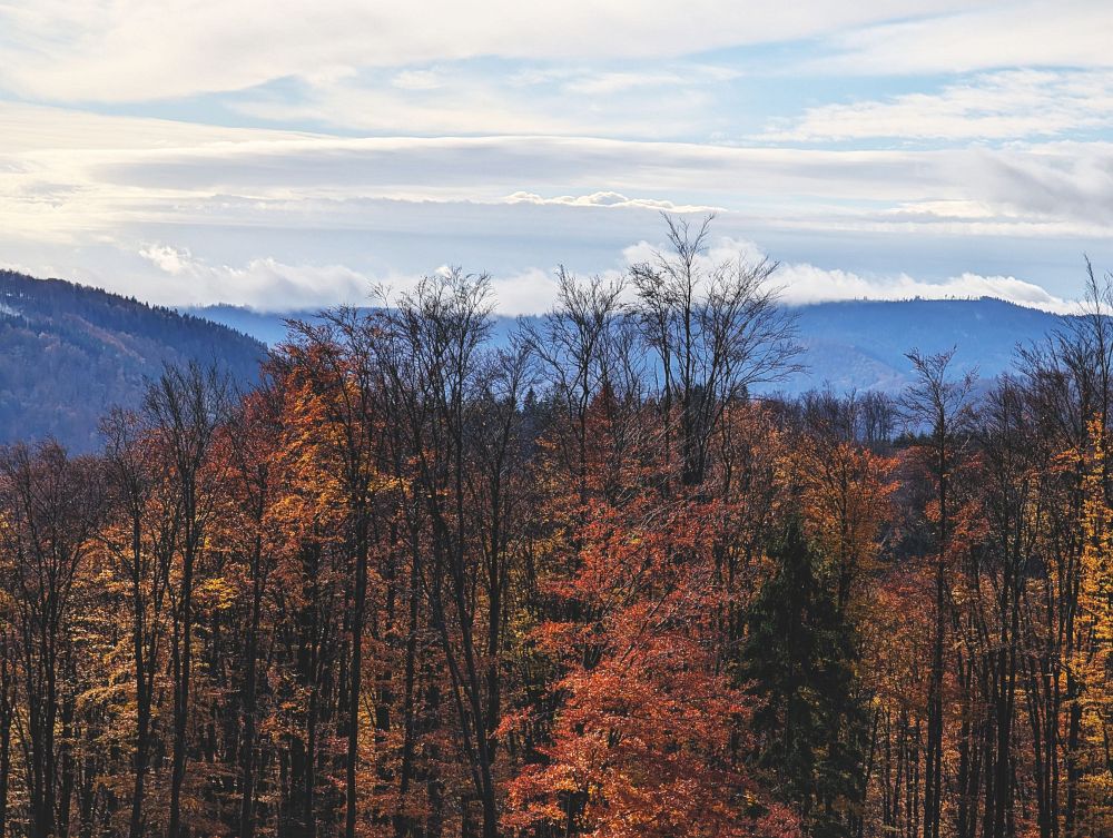 Vzadu hřeben, na který jedu