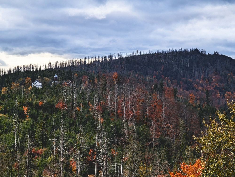 Kamenná chata, Tetřev a Velký polom