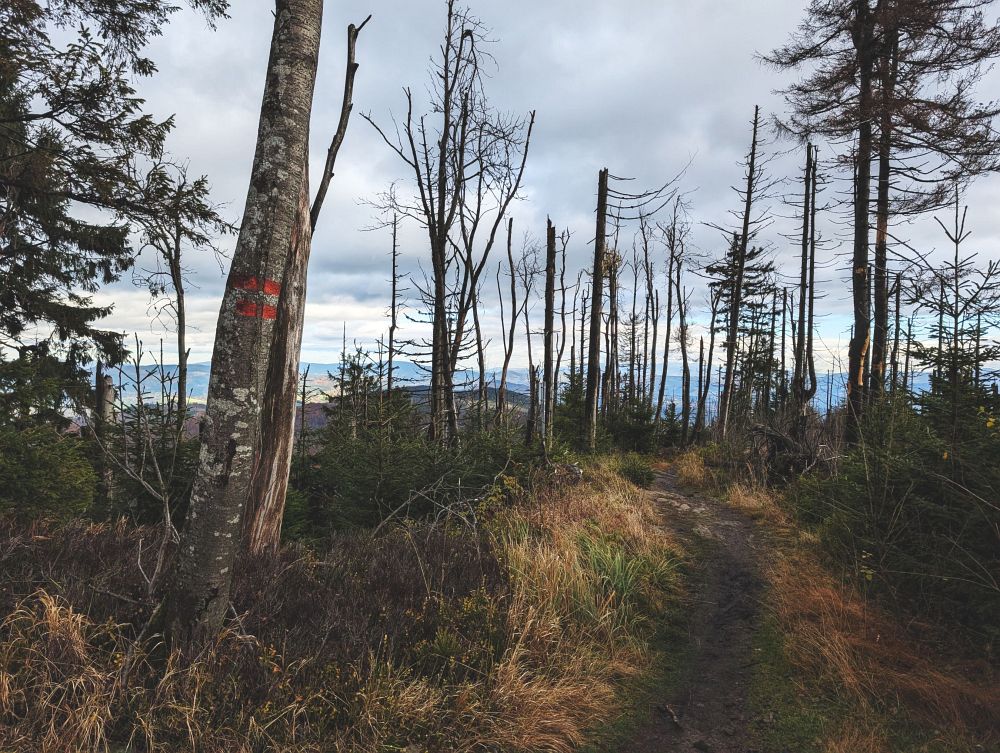 Velký polom na kole