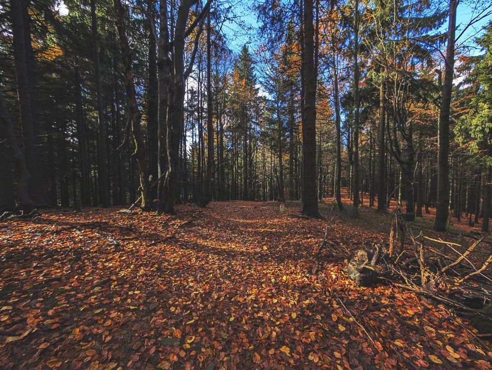 Tady se dá na kole i běžkách pěkně frčet
