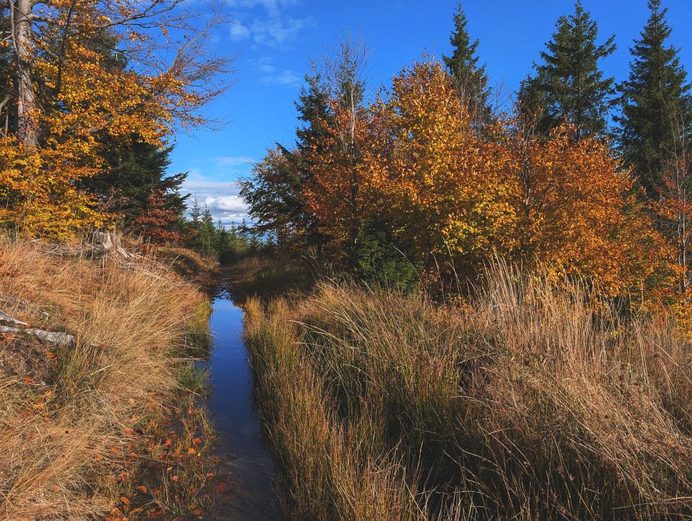 Mimo značky kolem Kozích hřbetů