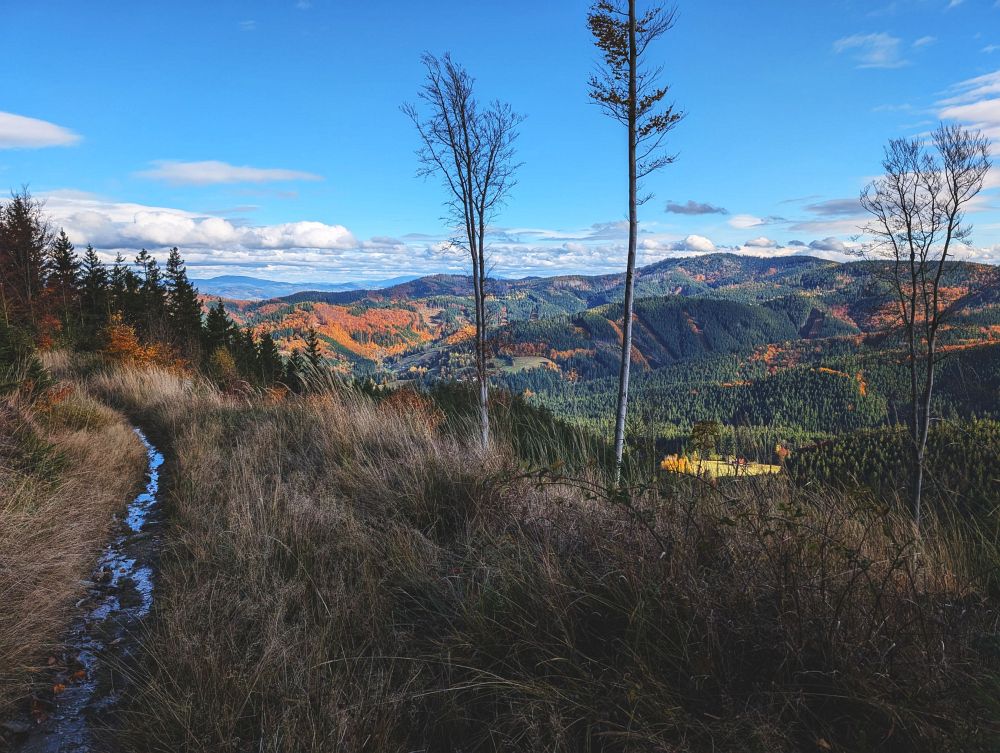 Mimo značky kolem Kozích hřbetů