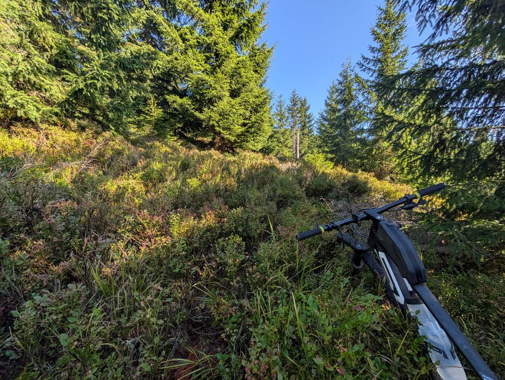 Pěšinka skončila, nastalo peklo