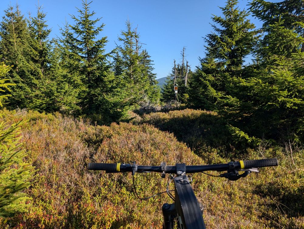 Rozcestník na obzoru, záchrana