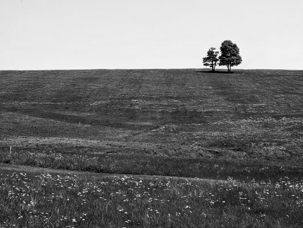 Kalek a louky všude kolem