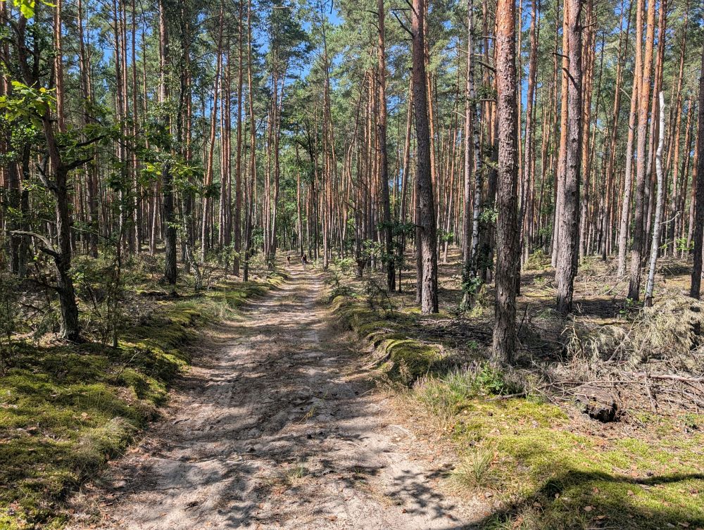 Vypadá to pěkně, ale jet v tom nejde