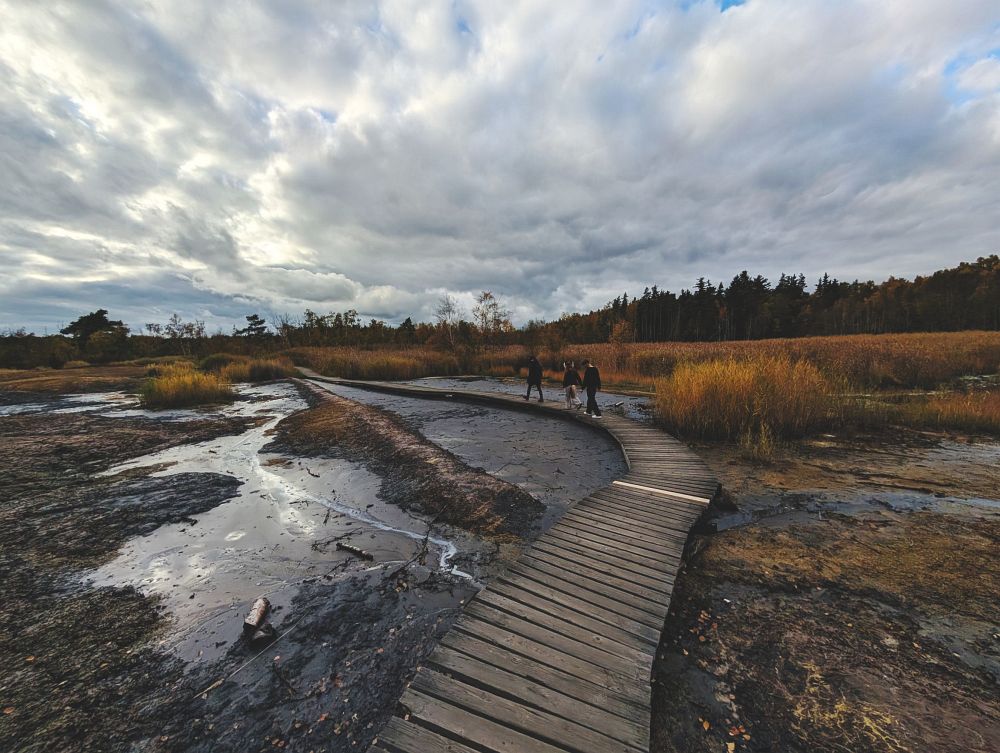 Soos - je cítit nafta