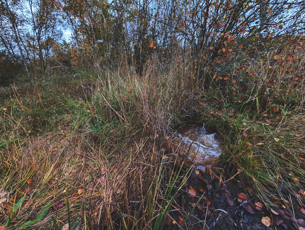 Soos - unikající plyn