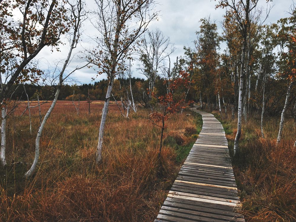 Soos - jako ve Skandinávii