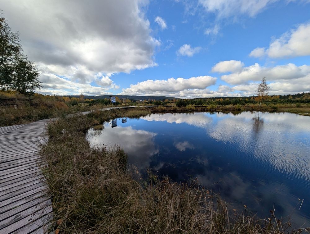 Perninské vřesoviště