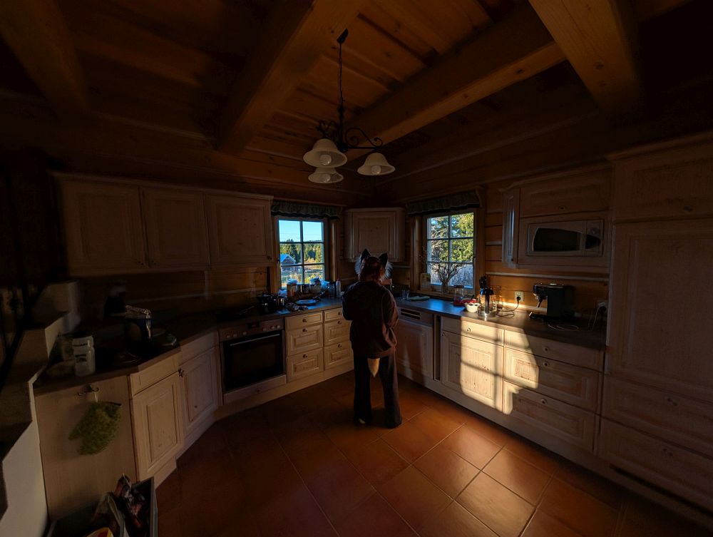 Kočka a slunce v kuchyni