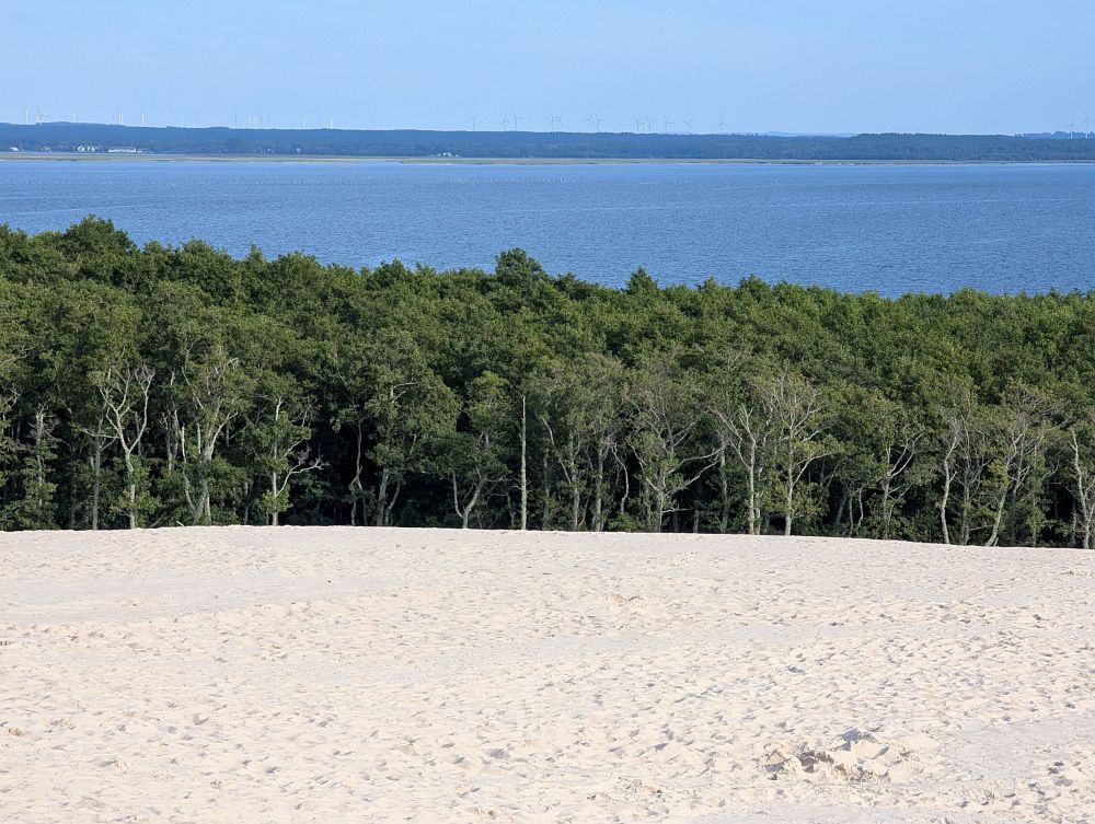Vzadu sladká voda - jezero Lebsko
