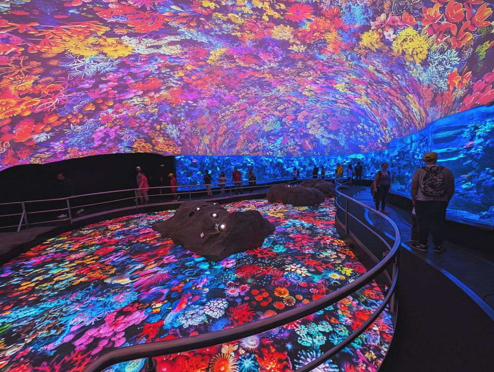 Korálový pavilón s jezdící podlahou