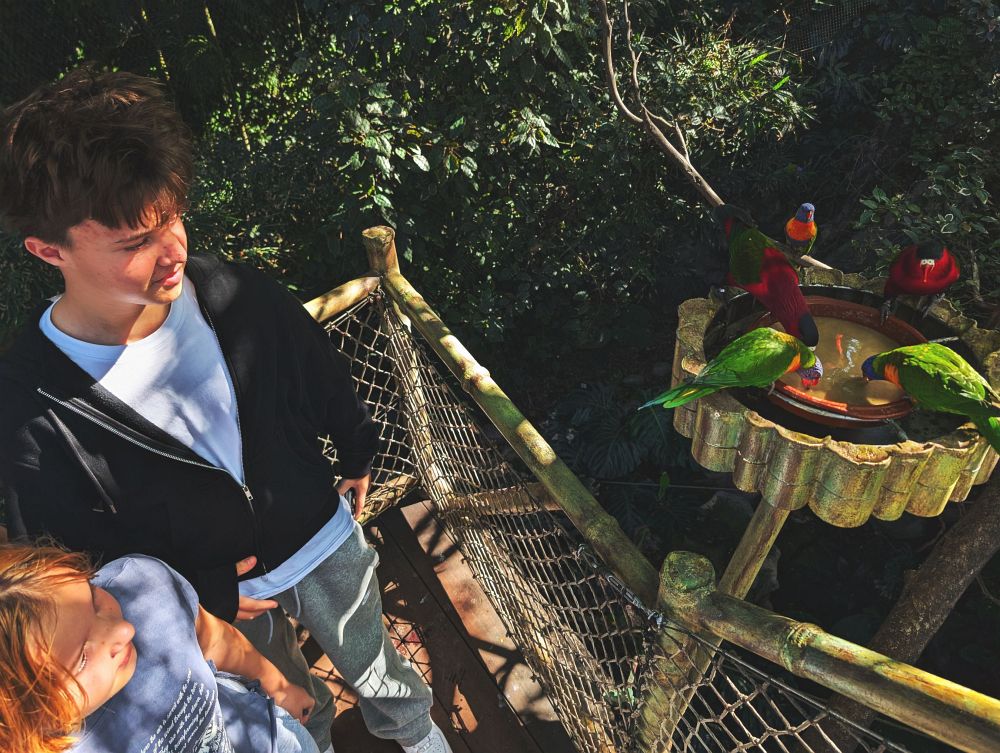 Stezka mezi korunami stromů