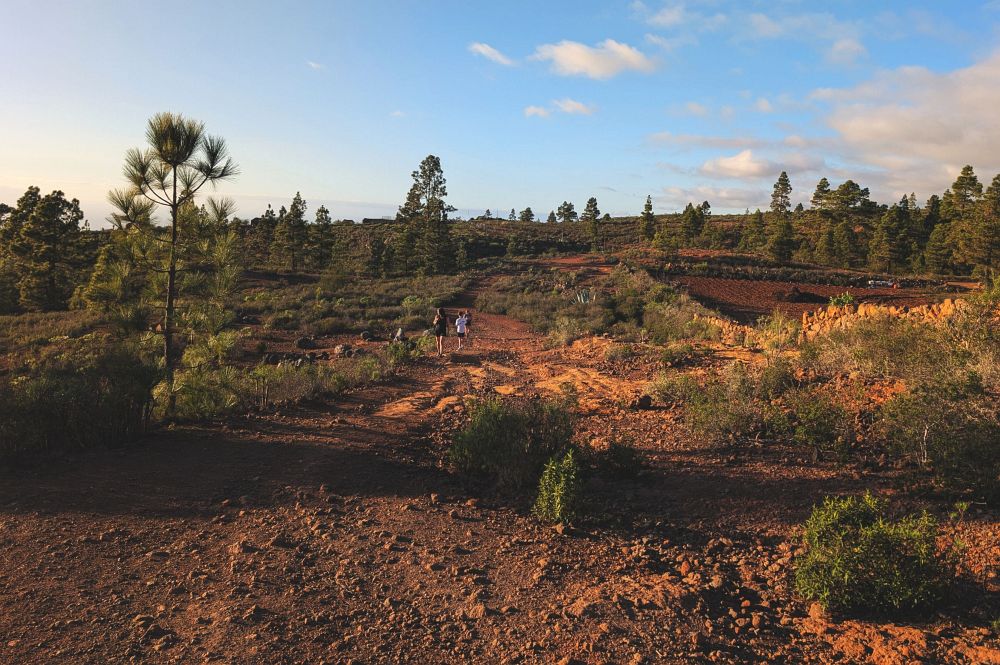 Večerní procházka