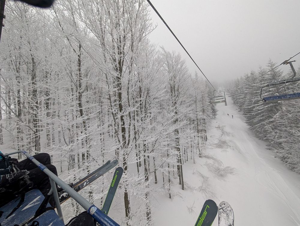 Stromy krásně namrzlé