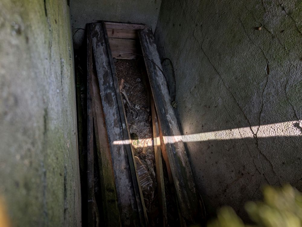 Uvnitř kosti a hadi