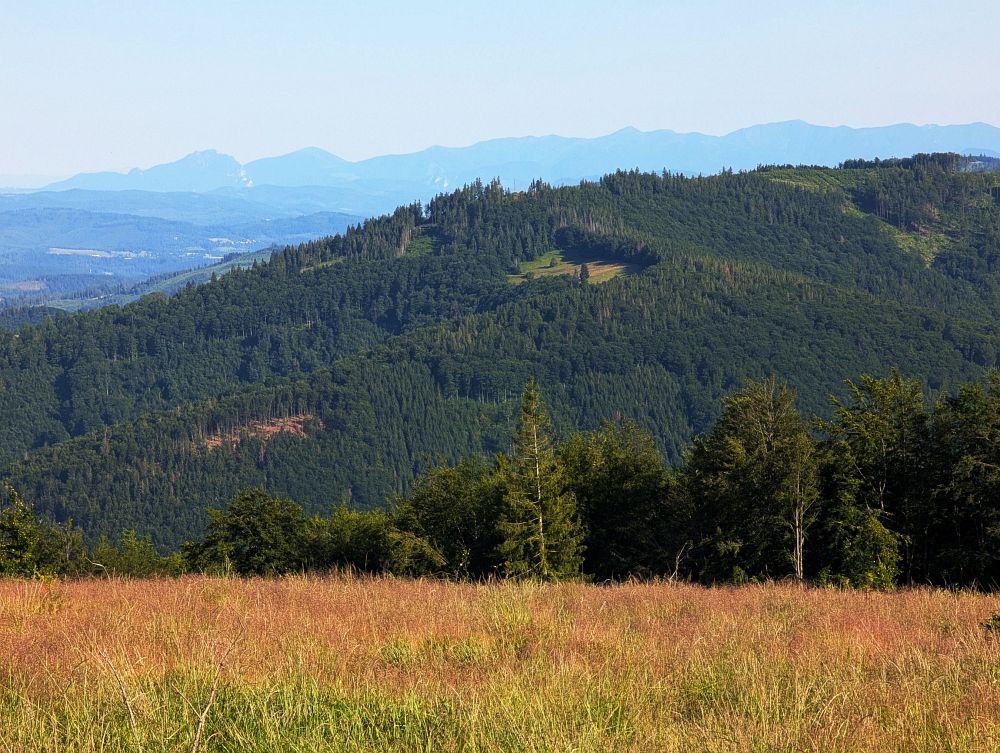 Fatra přes Kozubovou