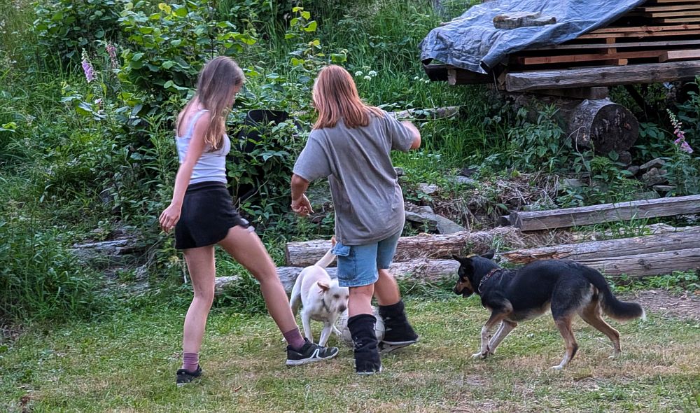 Sofi, Áďa a psi hrajou fotbal