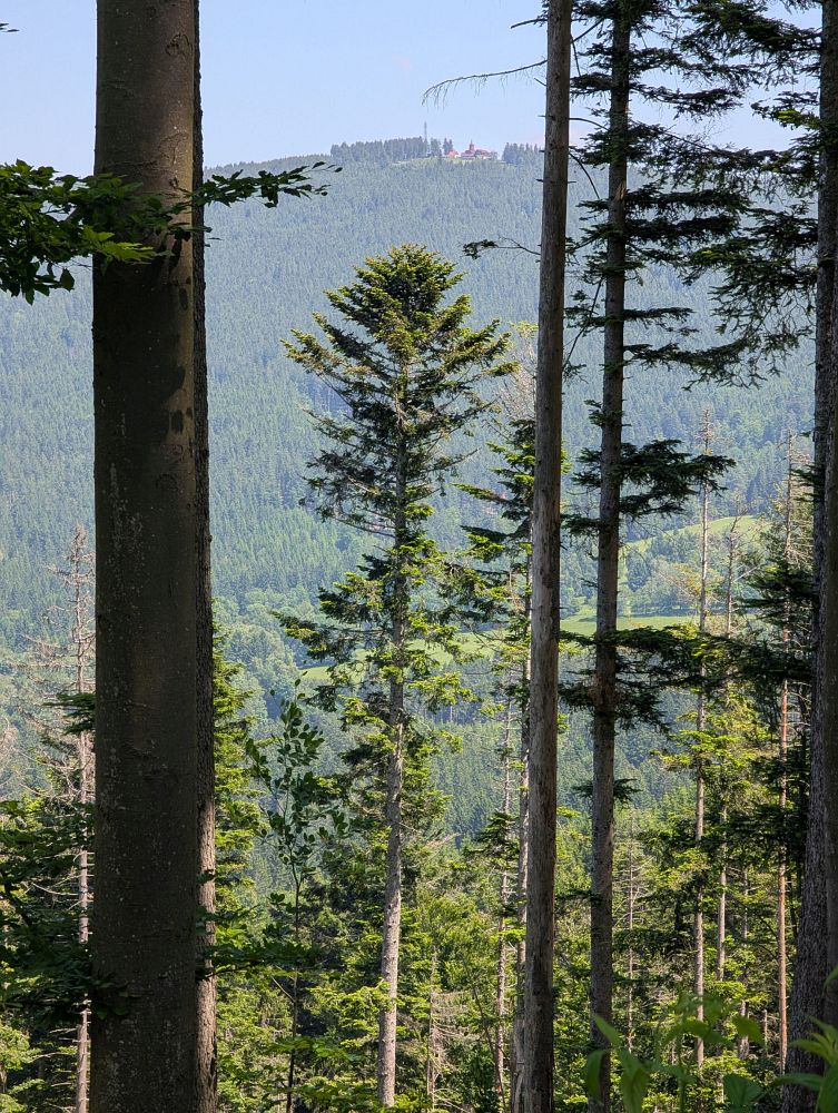 Protější kopec, tam jedu
