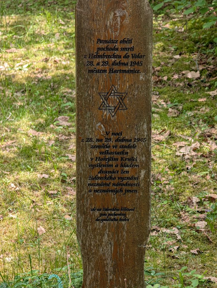 Na bývalém Hartmanickém židovském hřbitově