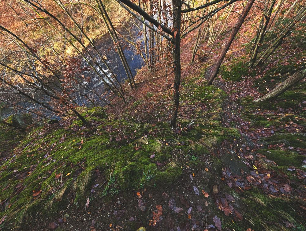 Neznačená cestička