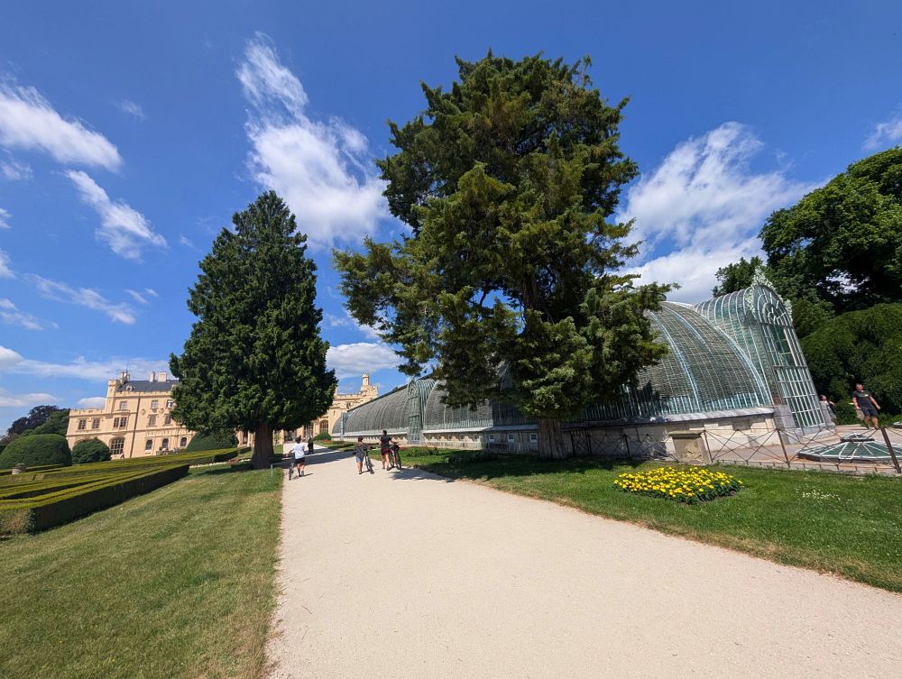 Obcházíme skleník