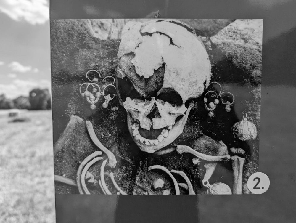 A tohle se tady kdysi našlo