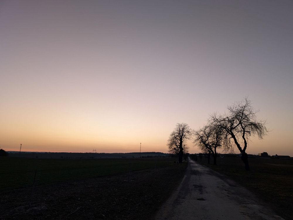 Javůrek před setměním