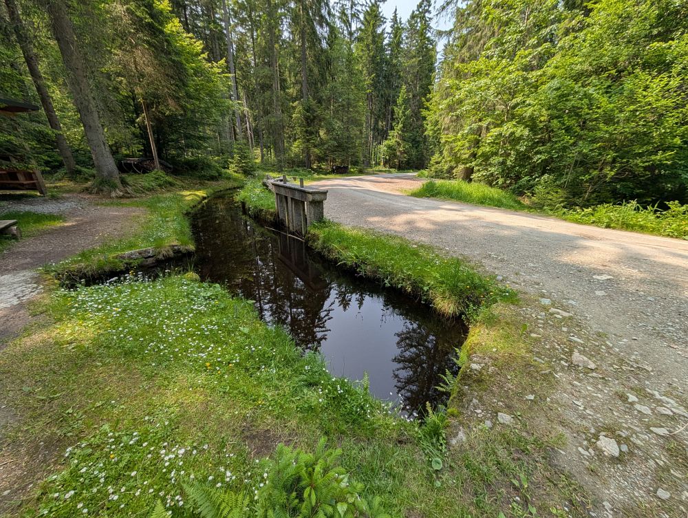 Schwarzenberský kanál